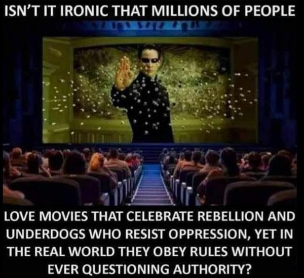 AnarchoMurray's tweet photo. #AnarchoMemes https://t.co/W7IMH77Soq