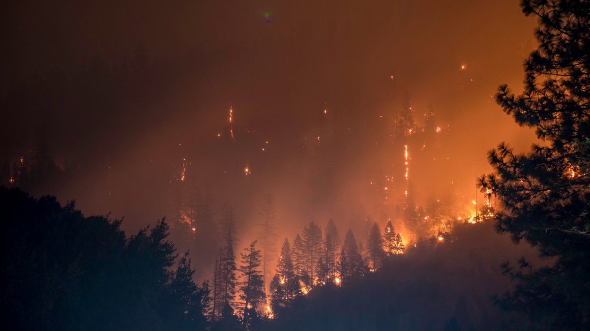 New research presented at #AAD2023 suggests that air pollution from wildfire smoke can cause flares of certain skin disorders. Read the latest: bit.ly/402MX3O