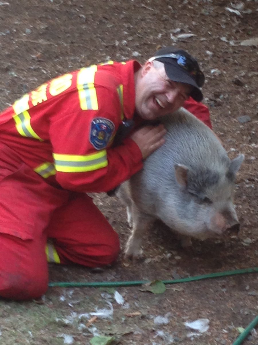 Langford Fire Rescue tweet media