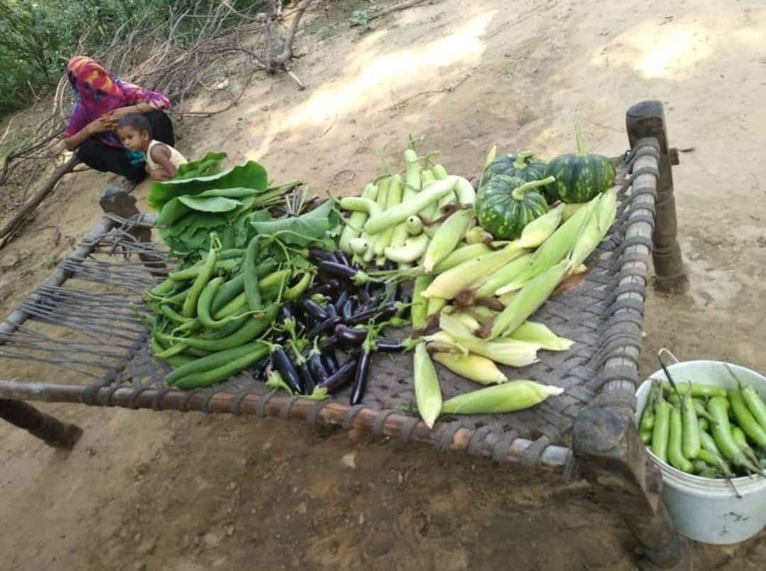 jha_yatendra's tweet photo. #SmartFarmers @NoidaNaturally @jaivikgurugram invites you to join a day workshop by a global #Farmer in research for 15 yrs on indigenous #SeedsBank #SoilHealth ground #WaterRecharge & health benefits of regenerative #Seeds let's grow our own #FoodForests 4 #JustHappiness https://t.co/3BWr5ehwLb