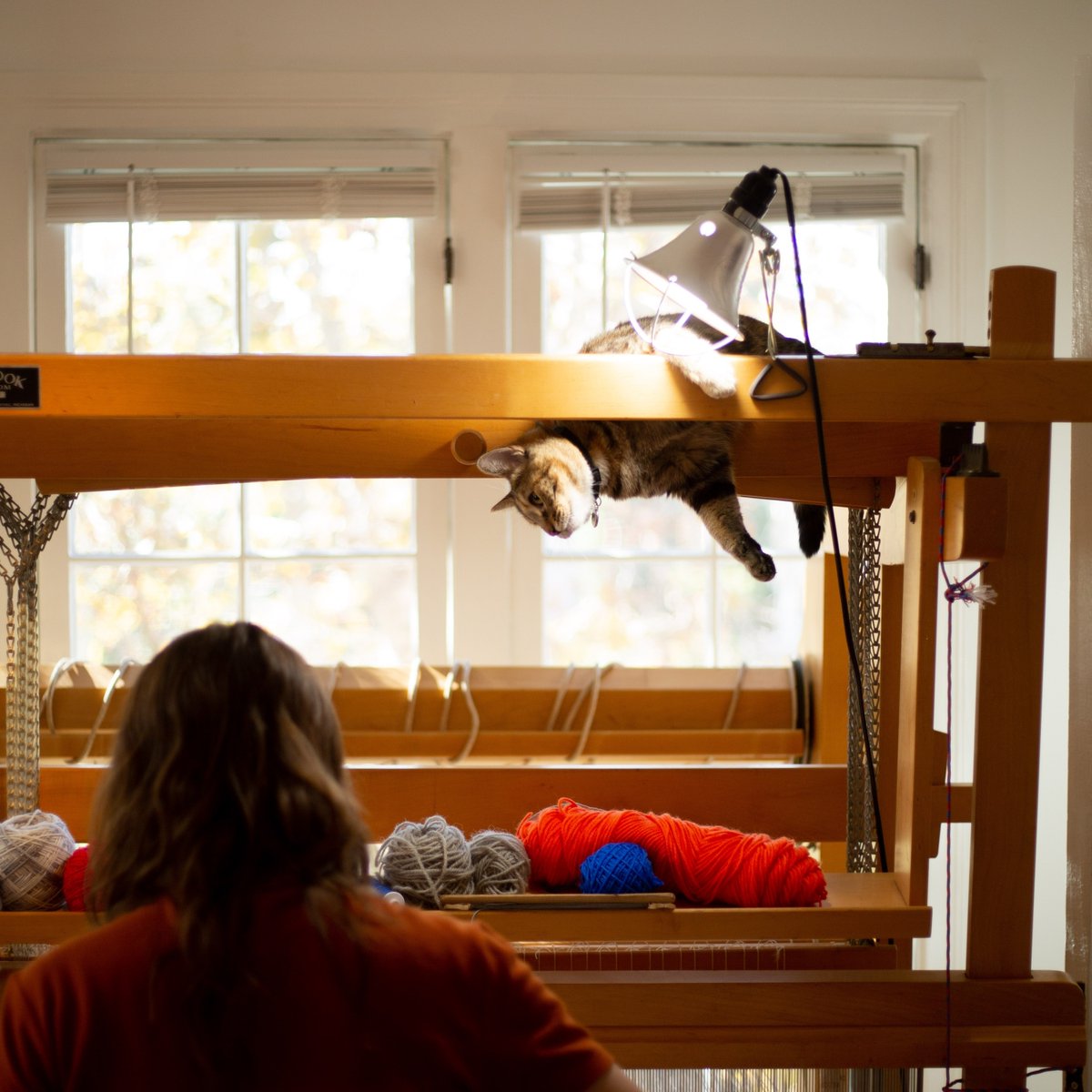 JSMA at PSU is pleased to introduce “Weaving Data” featured artist <a href="/KaylaMattes/">Kayla Mattes</a>! 

⁠Mattes’ tapestries provide social and political commentaries balanced with humor by recreating memes, such as the cat! ⁠
⁠
Swipe through to see Kayla in the studio with her cat, Penny🐱🐈‍⬛!⁠