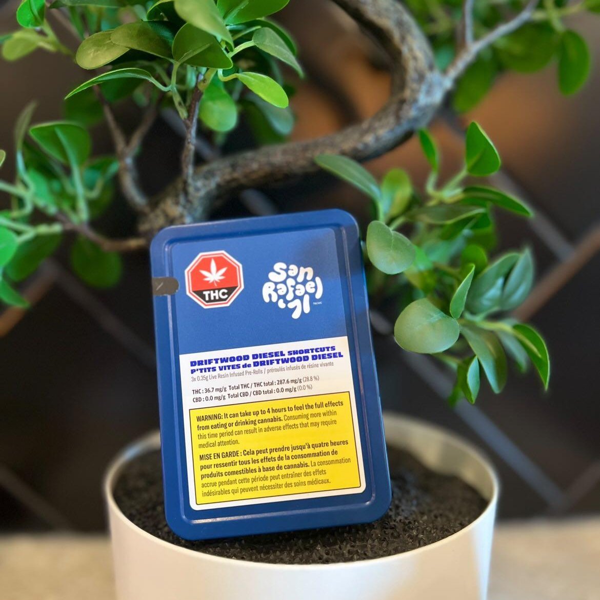 Lux Leaf Edmonton (@luxleafyeg) on Twitter photo Driftwood Diesel is just nature’s funky way of saying PU! A mash-up of premium GMO and Fuel strains, this comically stinky strain delights and offends the senses all the same with a far-out scent of gas and chem, with a sour taste. <a href="/SanRafael71/">San Rafael '71</a> Driftwood Diesel is just nature’s funky way of saying PU! A mash-up of premium GMO and Fuel strains, this comically stinky strain delights and offends the senses all the same with a far-out scent of gas and chem, with a sour taste. <a href="/SanRafael71/">San Rafael '71</a>