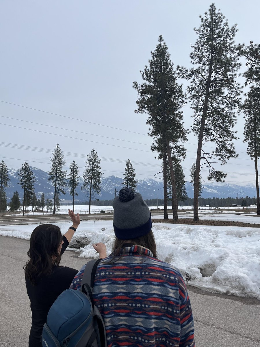 Native News MT tweet media