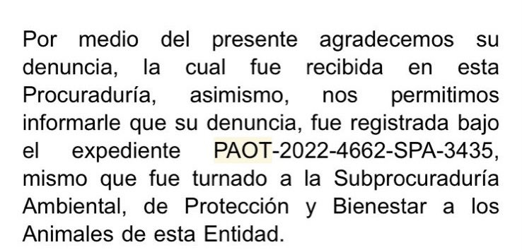 Alina_Gag's tweet photo. En la Gustavo A Madero hay un criadero ilegal de estos perritos

Los tienen en condiciones terribles, sedados, reproduciéndolos sin parar

Ya hay denuncia ante @PAOTmx y no ha pasado nada

Hay hogares temporales listos, solo es sacarlxs. Nos ayudan? https://t.co/tXbSdYMlnG