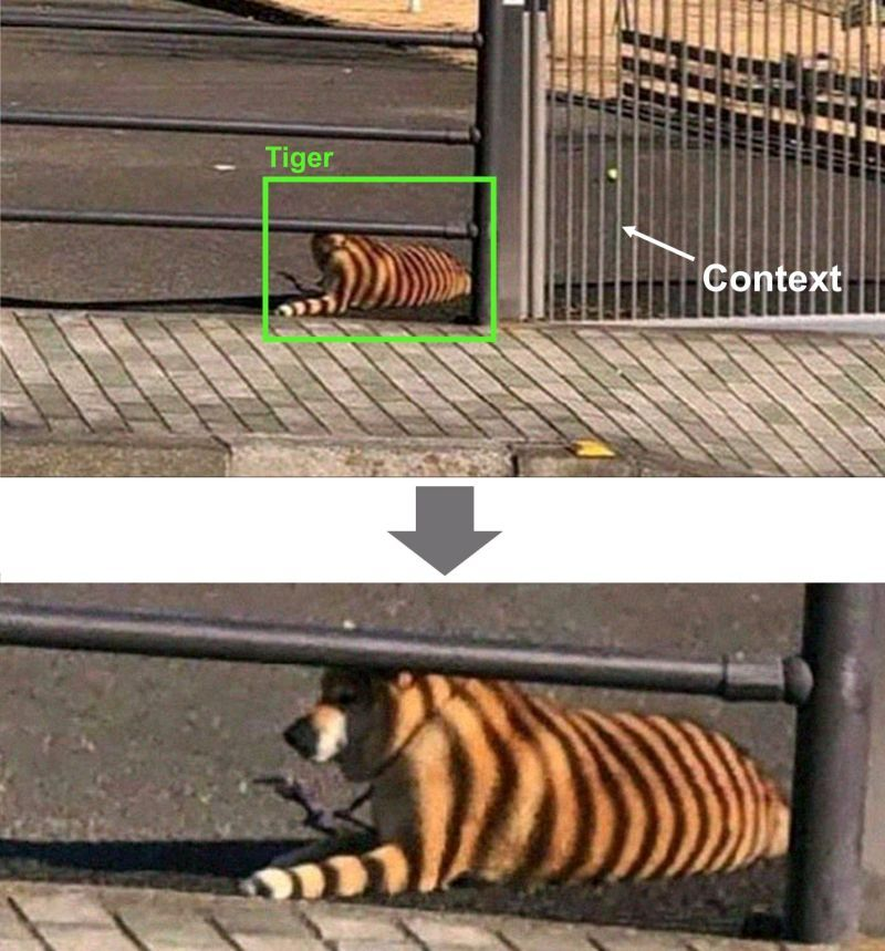 develop_memes's tweet image. 