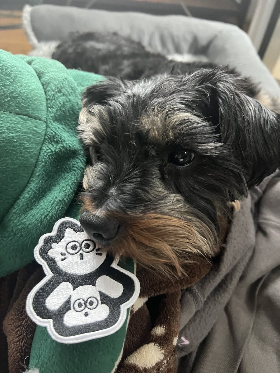 Congrats to the cast and crew of the amazing #welostourhuman! Looking forward to watching/playing today!!!!