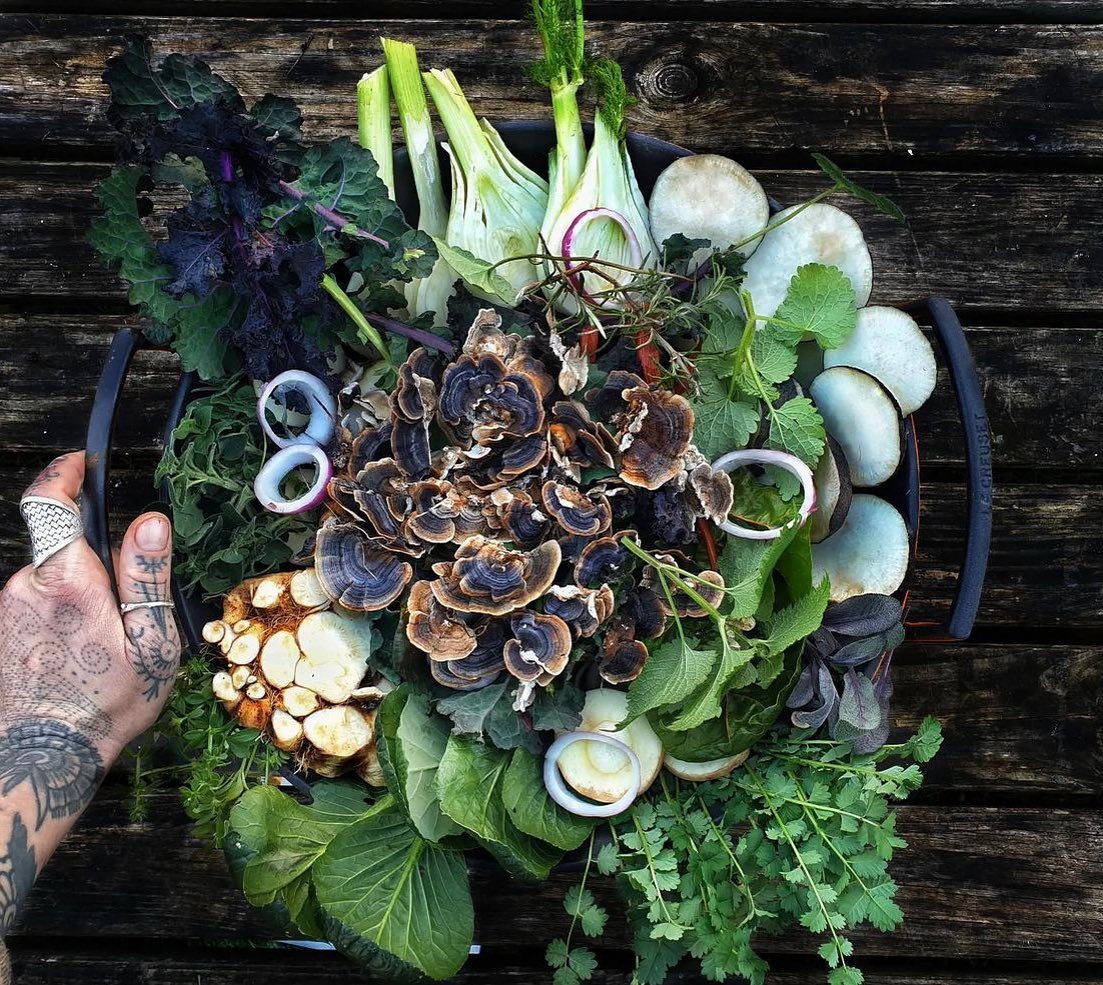 Our Foraging and Wild Cooking adventures are selling out fast! 🌿
Discover the hidden treasures of nature and turn them into something delicious! ✨
#secretadventures #foraging #wildcooking #visitoxfordshire