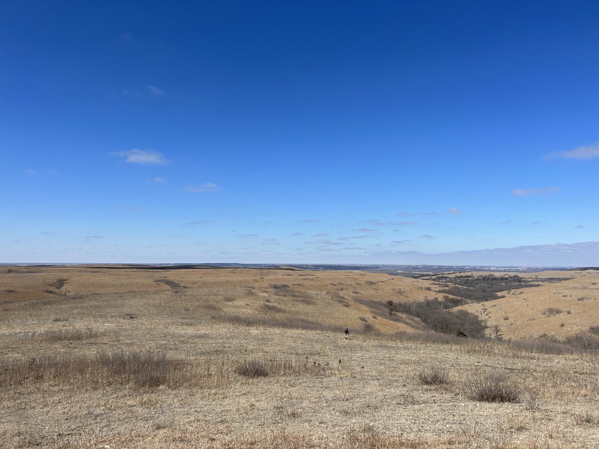 #fieldworkhack ! ran into some trouble w stream sensor deployment - found out the hard way that rubber mallets and rebar don’t pair well! Used some stones from the stream for a makeshift tool win 🪨 …&amp; those ⁦<a href="/KonzaLTER/">Konza Prairie LTER</a>⁩ Shane Creek watershed views 😍