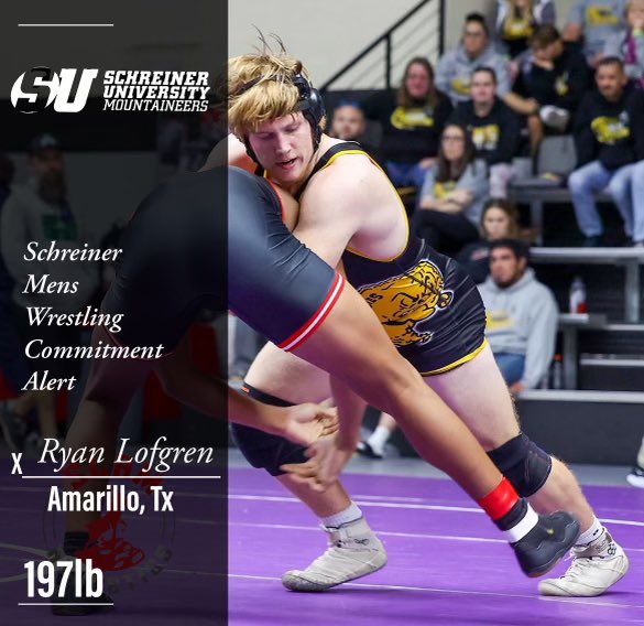 Ryan lofgren tweet media