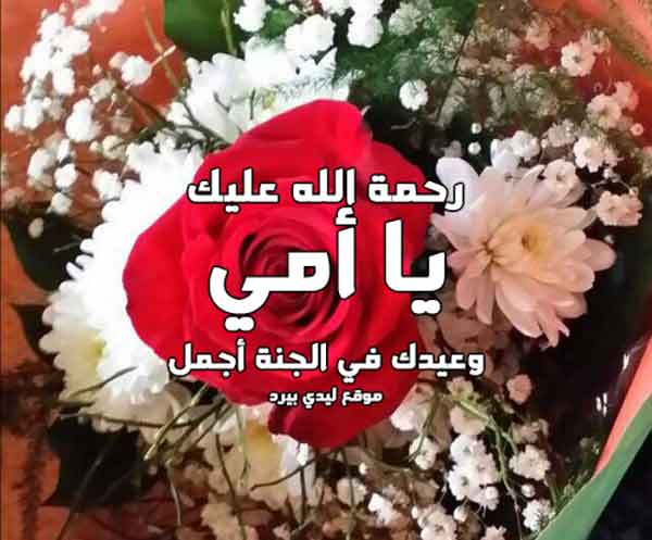 hesa200024's tweet photo. عيدك اجمل في الفردوس الأعلی ياامي 
رحمة الله تعالى تغشاك يا أمي وربي يحفظ امهاتكم جميعآ .
* اجمل دعاء كنت اسمعه منها .. الله يبعد عنك كيد الكائدين و حقد الحاقدين و شر الحاسدين و يعادي من عاداك https://t.co/BH9A68Pm2W