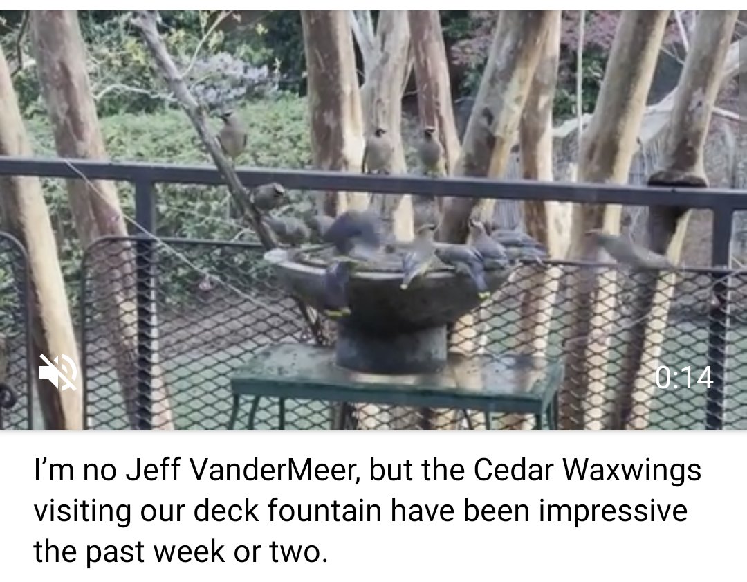 Jeff VanderMeer tweet media