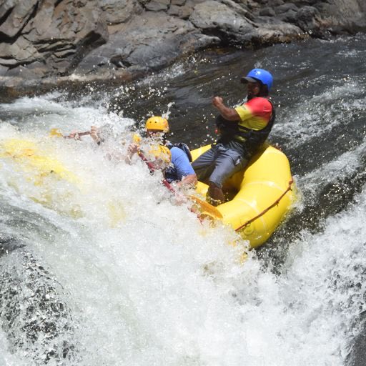 George Secor tweet media