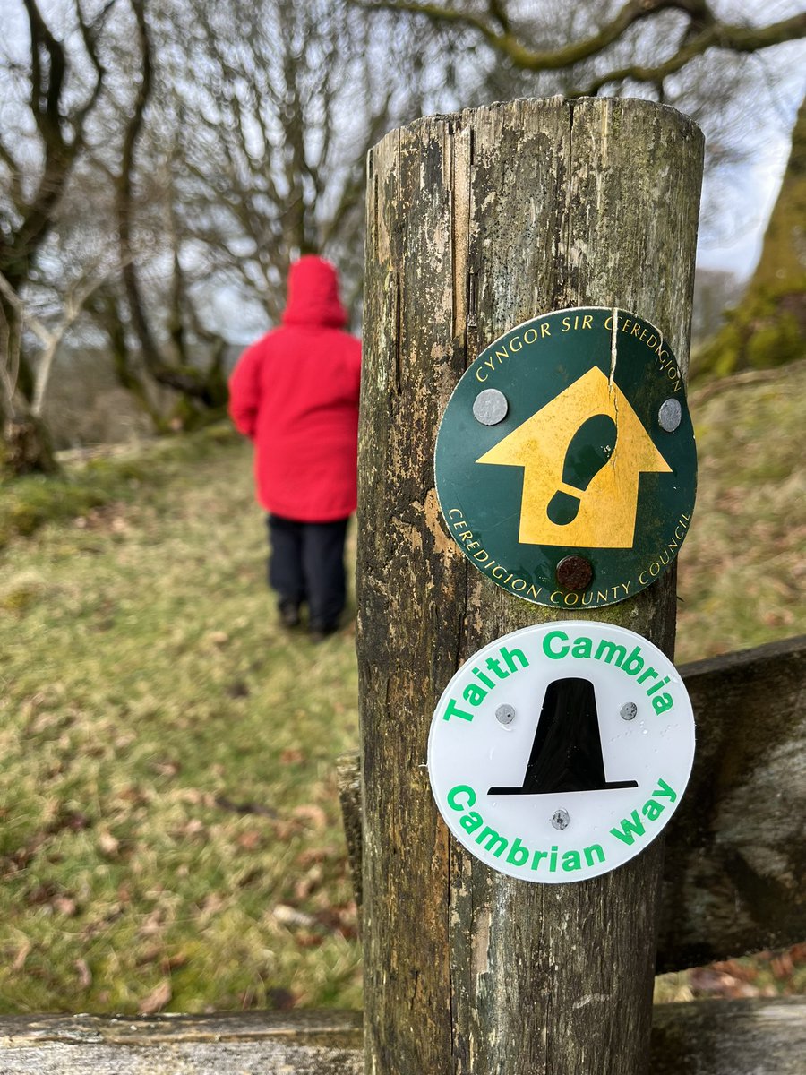 Cambrian Way tweet media