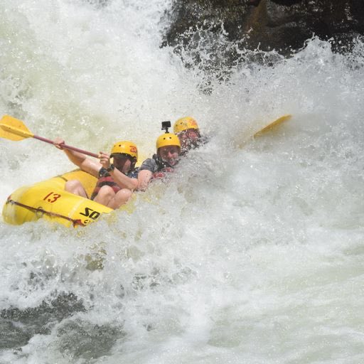 George Secor tweet media