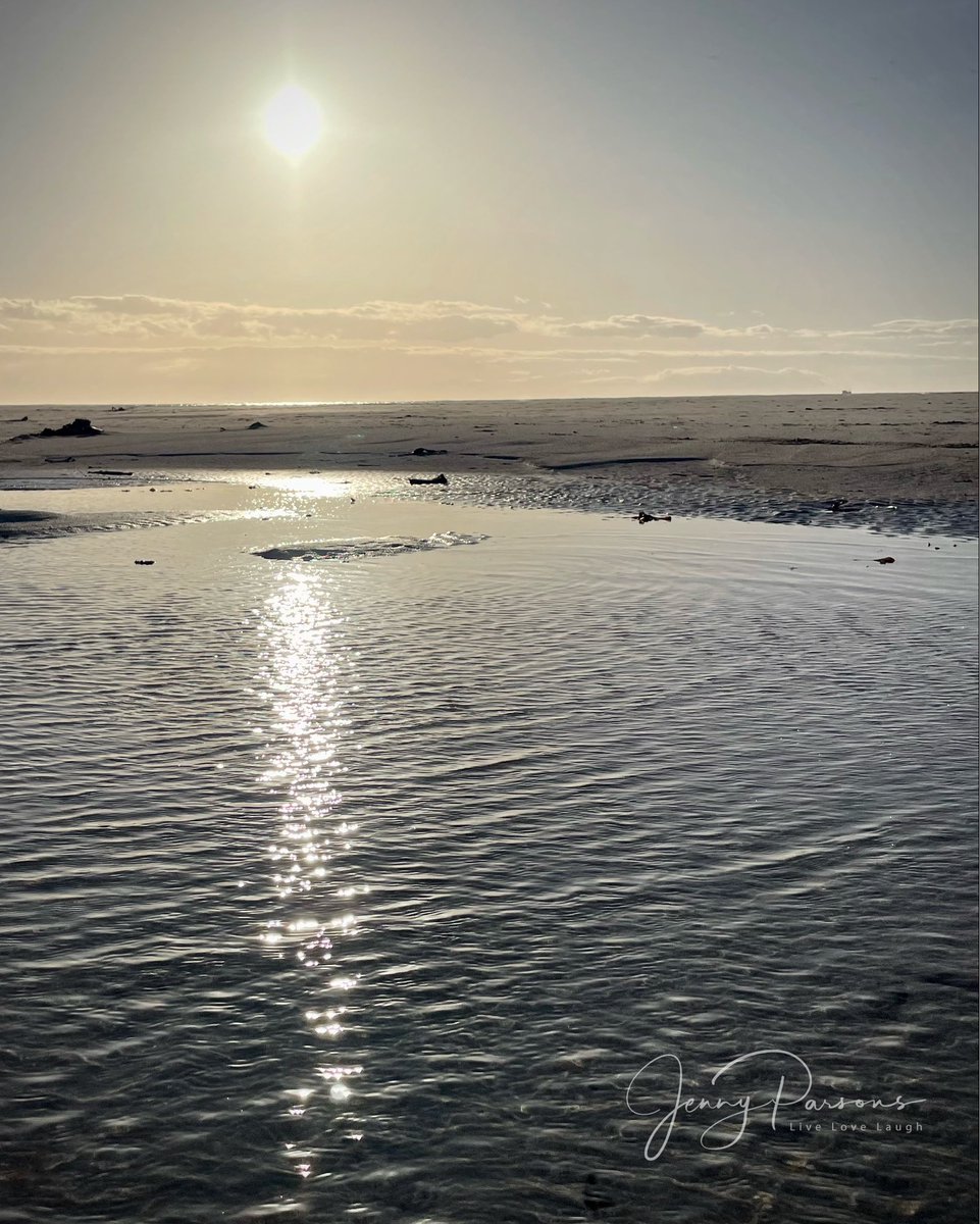 JennyPaPB's tweet photo. Sun trails at sunset, a late afternoon walk with the mutts on a gorgeous autumn day…
#sunset #sunsetphotography #sunsetbeach #sungoingdown #goldenhour #ripples #reflections #sunbeams #beach #endoftheday #walkingthedog #thisiswhyilivehere #pringlebaynaturalist https://t.co/Xwus3RIl1J