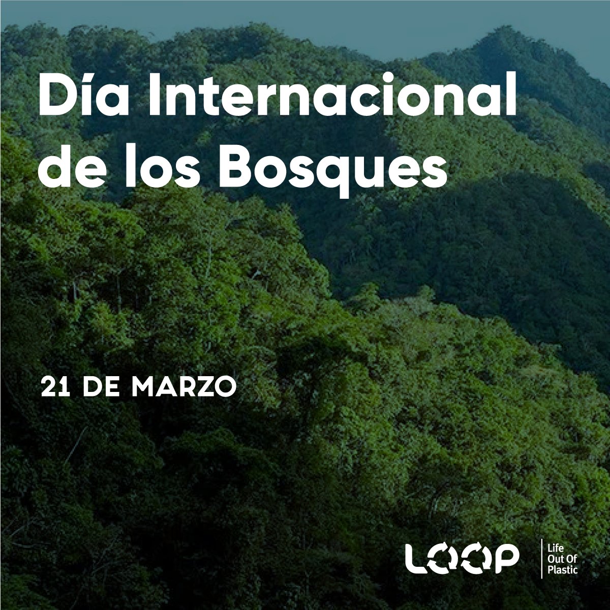 Hoy en el #DíaInternacionalDeLosBosques queremos recordar su importante papel en la calidad del aire 🌬 y la biodiversidad 🌱 Además, es muy recomendable tener contacto con ellos 🌳 pues está demostrado que puede reducir el estrés, la ansiedad y la depresión 🫂