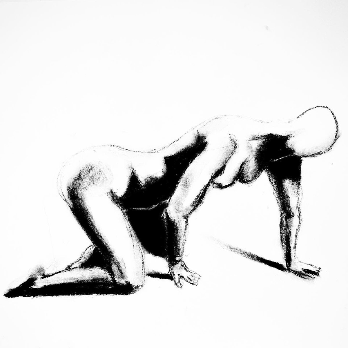 Just_raw_art's tweet photo. °”La belleza, en forma natural pt.2”
°#art #charcoal #charcoalart #pose #model #figure #figureart #drawing #sketch https://t.co/Jq23WSyg76