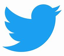 This or That? tweet media