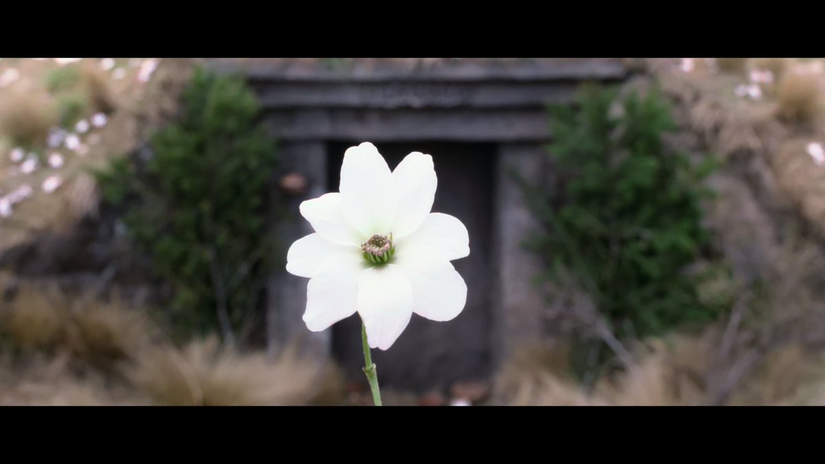 Council of the Rings - Tolkien YouTube channel tweet media