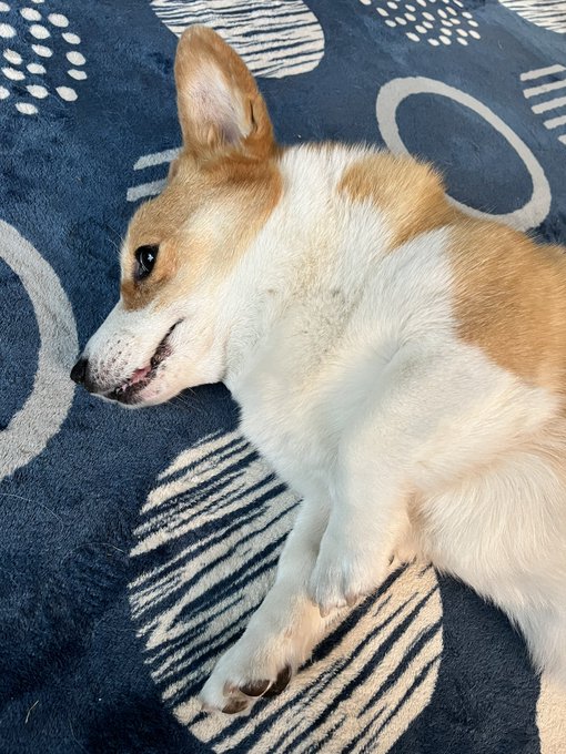 おはようございます。 