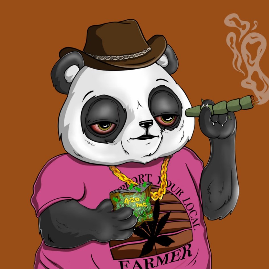 NFTMe12's tweet photo. @valleyunites @puffpandas #PuffTuff ๐ผโค๏ธ https://t.co/6O55FOYk2R