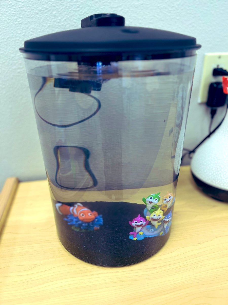 MsTravisTEAL's tweet image. Thank you @knutson_mrs for partnering with TEAL academy to set up tanks for our new class pets 🐠 🦐 We’re anxiously awaiting the water to prep!! 
#teacherlife #seniorprojects #collaboration @SharksAHS