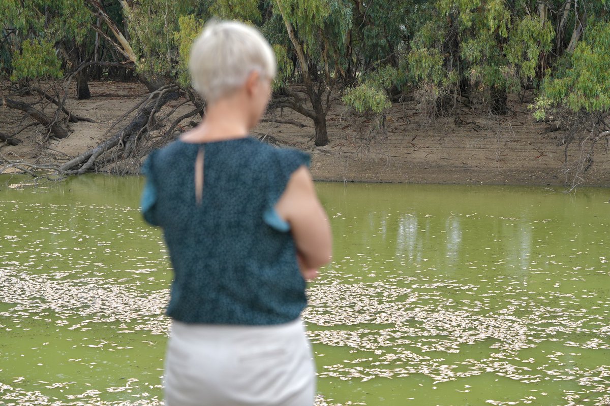 BillOrmonde tweet media