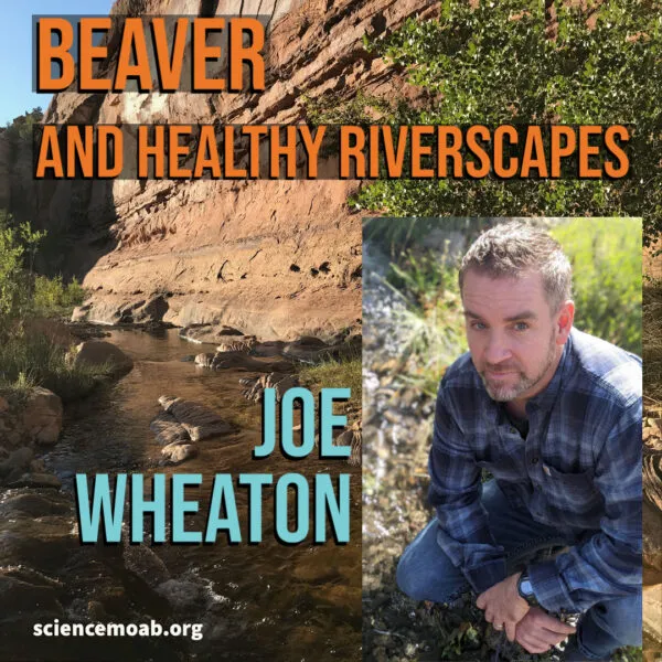 Check out @USU_WATS beaver and riverscape expert @fluvialwheaton on the latest episode of the Science Moab podcast: bit.ly/3lzXVyH

@QCNRUSU @USUAggies
#beaver #river #conservation