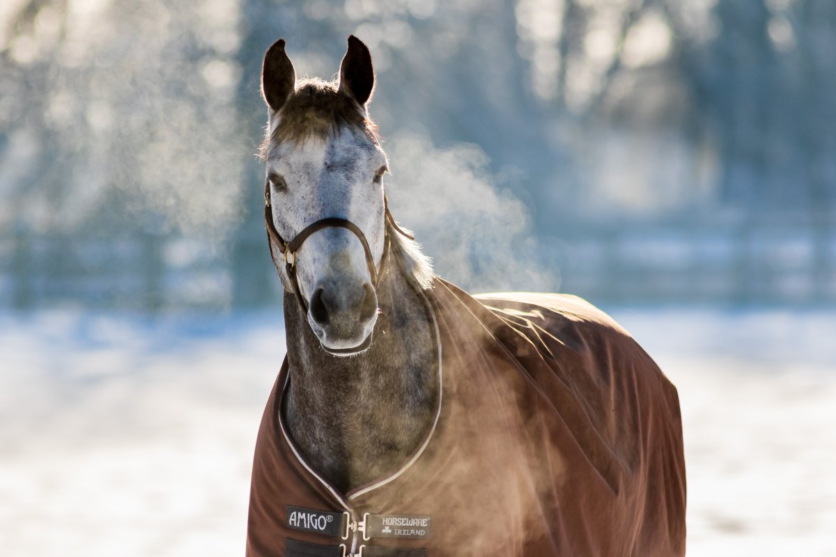 Tom Bushey tweet media