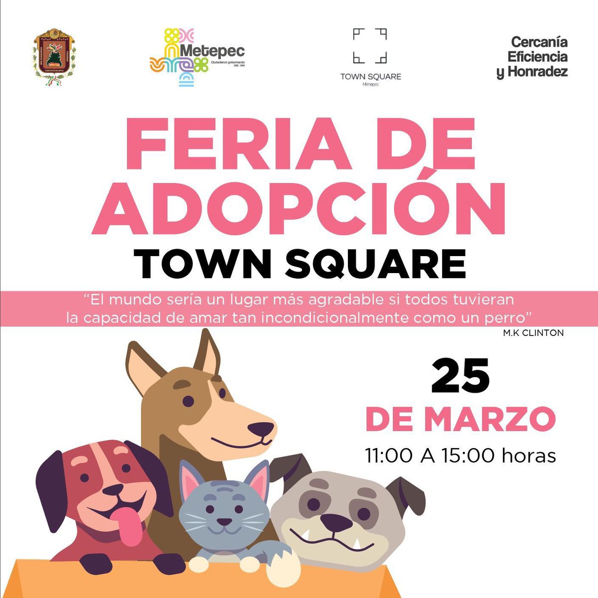 MetepecAmbiente's tweet photo. Te esperamos en nuestra feria de adopciones, recuerda que la cita es este sábado 25 en un horario de 11:00 a 15:00 hrs y estaremos ubicados en el “Jardín Principal” a un costado del Mercado Norte.
#AdoptaNoCompres
#CiudadanosGobernando https://t.co/MeOMze0B5f