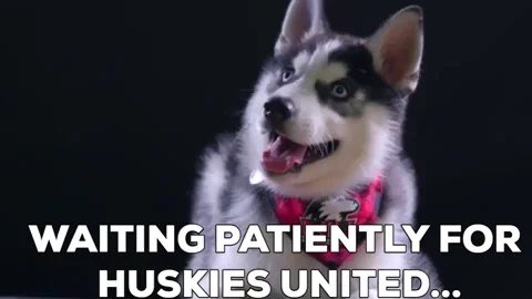 TOMORROW we will begin to raise funds for the NIU Latino Alumni Scholarship! #HuskiesUnited
