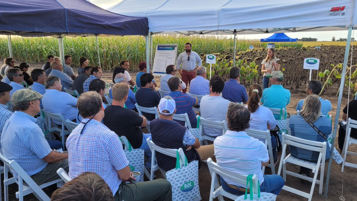 luzmossoban's tweet photo. Una jornada a campo muy tecnológica con Peumayen en Coronel Suárez. Genética NK y protección de cultivos en un mismo lugar!

#MiravisDuo en sj y gira, #Virantra en sj, #AcuronPack en maíz y trat de sem. A pesar de la campaña seca, vimos soluciones para todas las problemáticas! https://t.co/phSJ9zZCx5