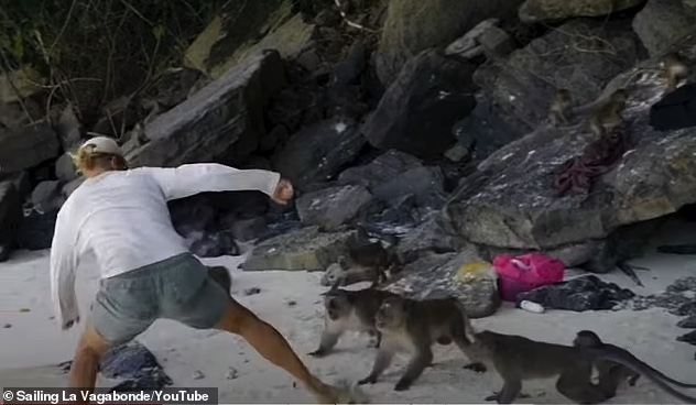 ASEANNOWTH's tweet photo. Aussie dad gets into fistfight with monkeys on Ko Phi Phi in Thailand ➡️ https://t.co/5iCKwcfMdh

#AussieDad #MonkeyFight #KoPhiPhi #Travel #Adventure https://t.co/x3I6Cvf702