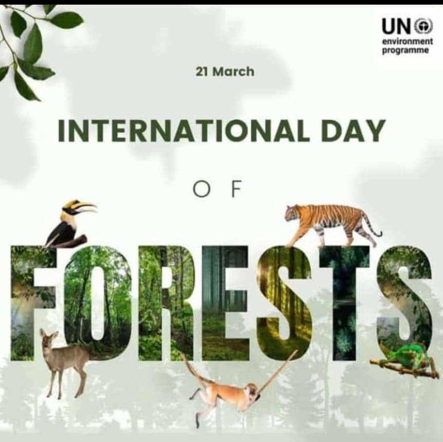 Better Earth Foundation (@betterearthfou1) on Twitter photo 