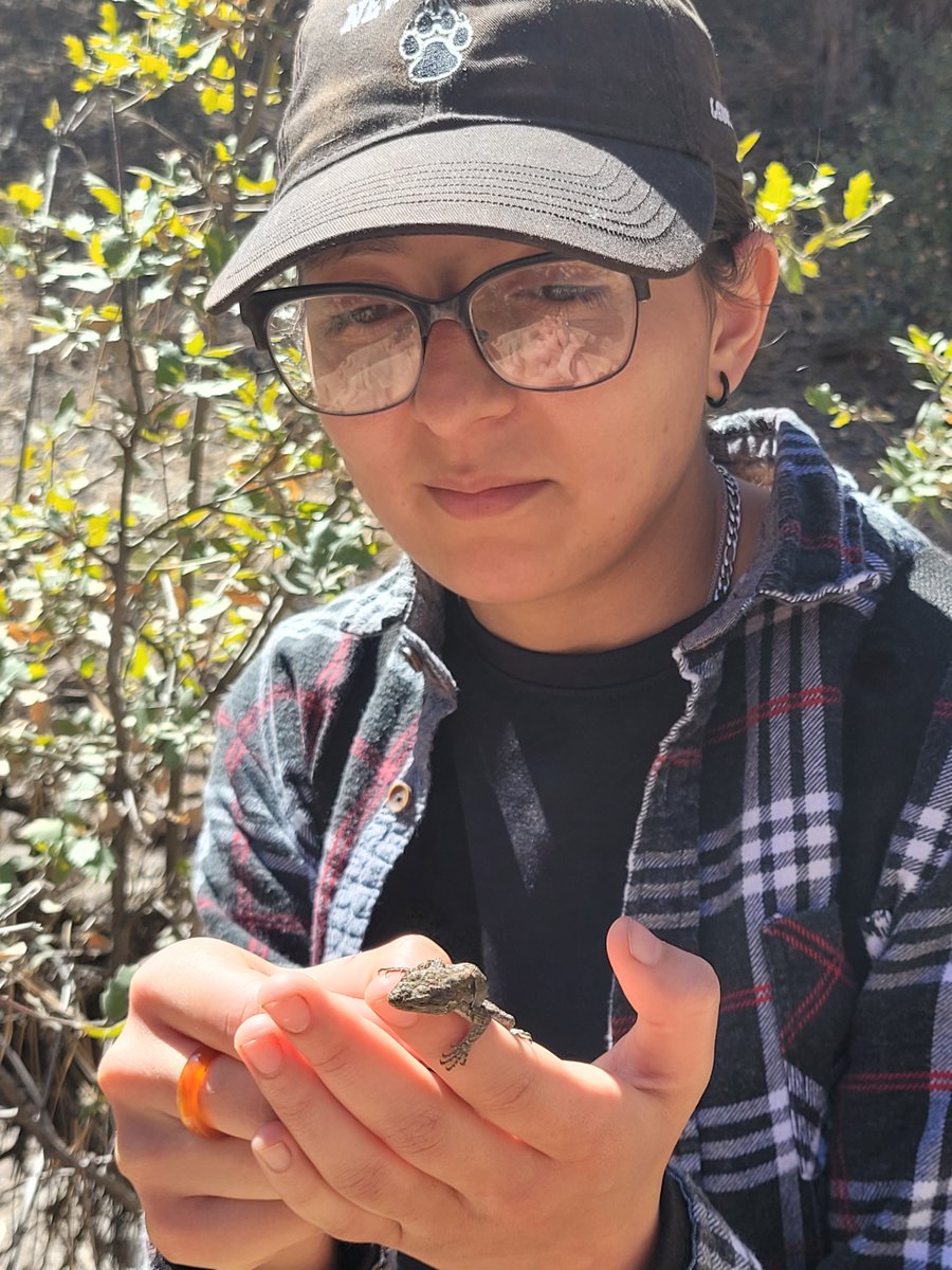 Museum of Southwestern Biology tweet media