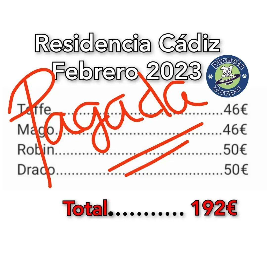 planetazarpa's tweet photo. Gracias a #AnaIsabelDC seguimos bajando facturas!
Nos faltan 587€ para liquidarlas del todo.
Nos echáis una patita🙏🐾
@Quima23 @Ainaruskka @AbuelaCule @_TataElena @Acerina56 @Atabales_Tocan @juanjosorilluch @LolaFdzCampillo @MartinchoVCF @MVICTORIAESPADA @pdm70 @veganibalecter https://t.co/RSXJ5ZoeNd