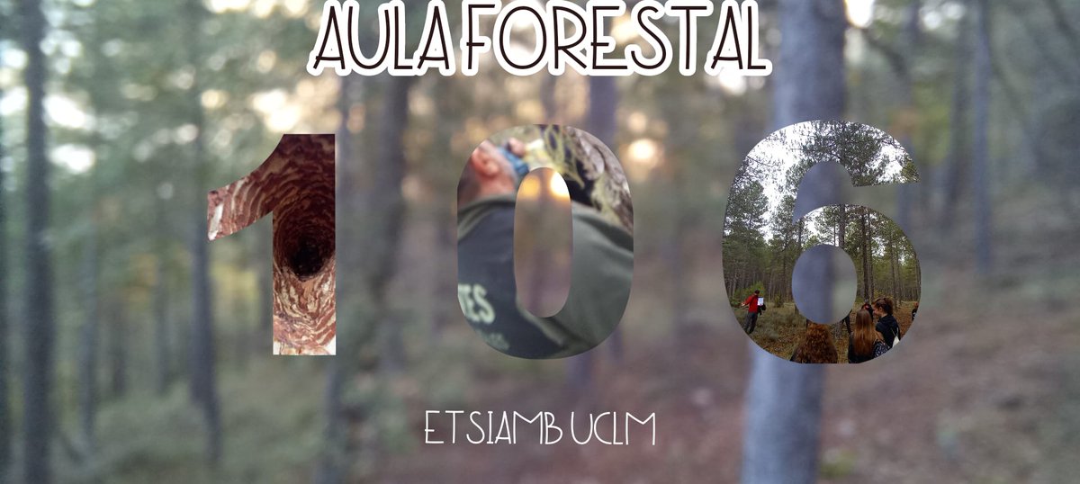MELucasBorja's tweet photo. 📢Ya están preparadas las actividades para el “Aula forestal 106” (2º cuatrimestre) @uclm_es @EtsiamAb 

Muchas y variadas clases teóricas y prácticas relacionadas con la ingeniería forestal y sus diferentes disciplinas que desarrollaremos en el Monte de los Palancares (CU) (1/x) https://t.co/ZiFtRH89i7