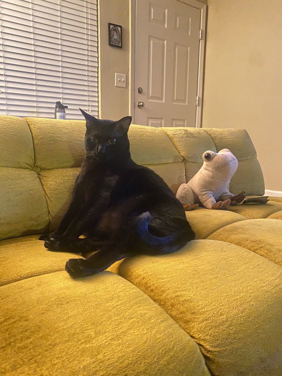 ohrawkey's tweet image. Maeby Baby