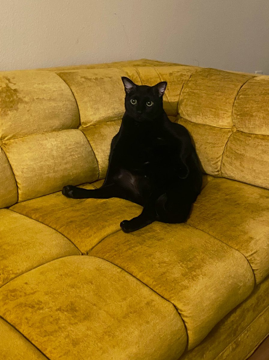 ohrawkey's tweet image. Maeby Baby