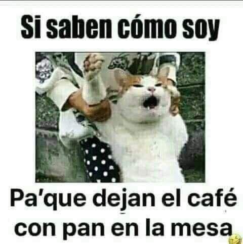 plascencia_lety's tweet photo. 🥰☕🍩 https://t.co/SZAVVL5RCT