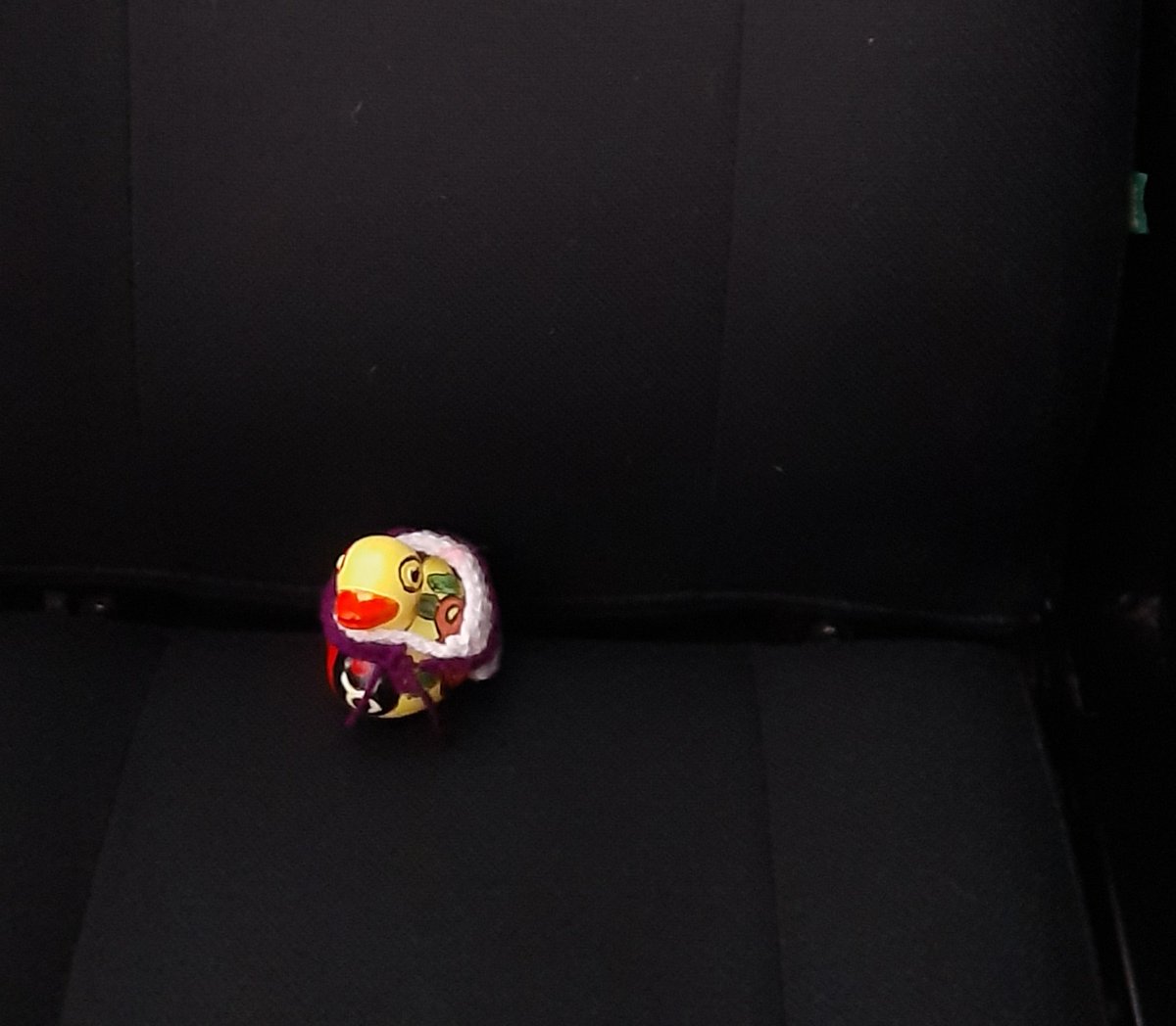 Bandon Hill tweet media