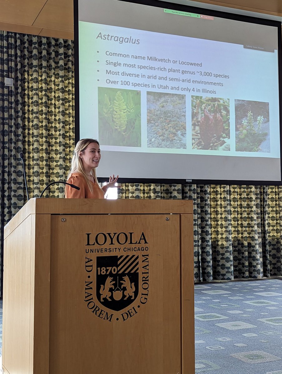 Mike Grillo tweet media