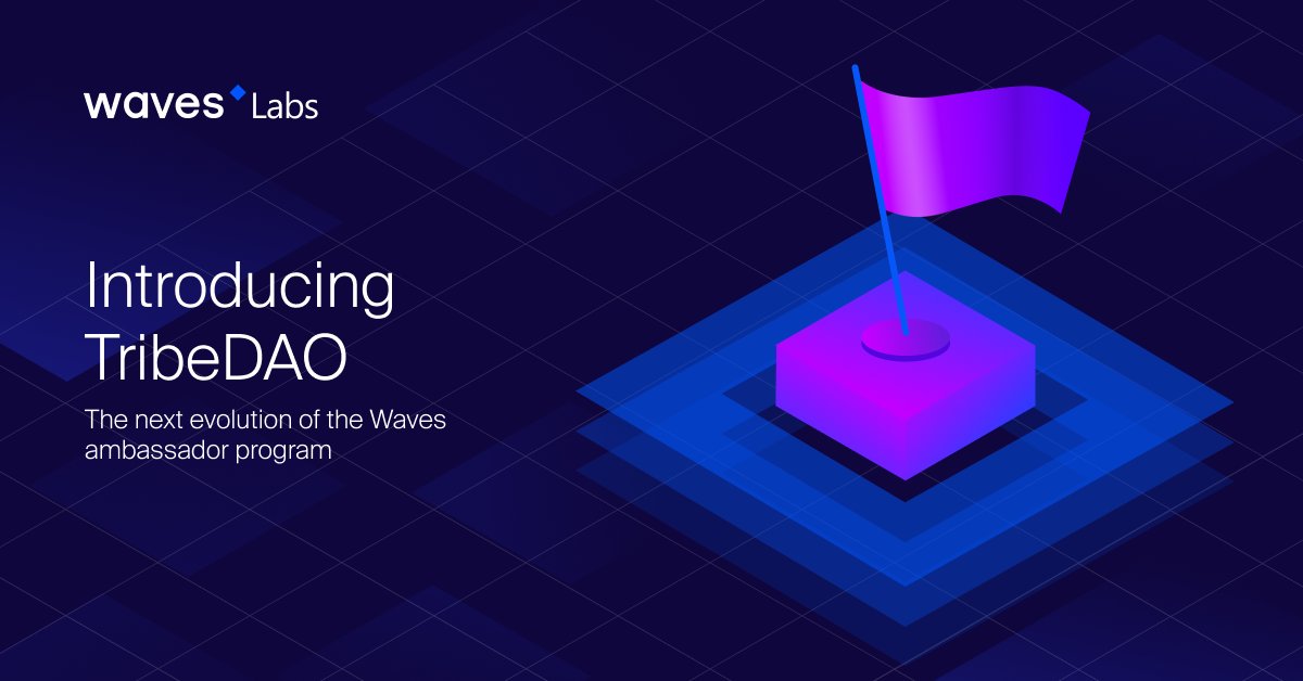 Waves Labs 🌊 (1 ➝ 2) 🏄‍♂️ tweet media