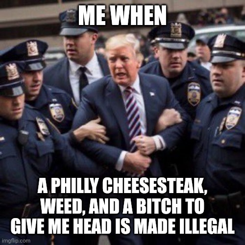 Triples_is_Best's tweet photo. #TrumpArrest #mood https://t.co/WL3csgktXG