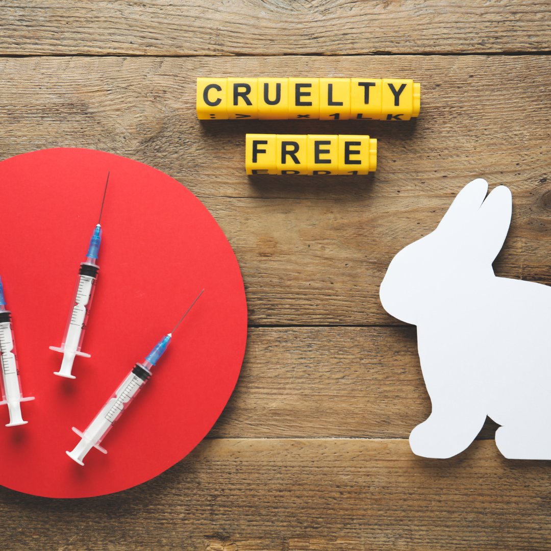 A una década de #BeCrueltyFree: Los cambios que logró esta campaña en nuestro país de la mano de Humane Society International #MedioAmbiente #Sociedad
epale.cl/?p=2325