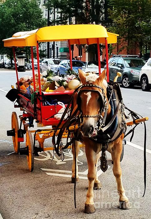 New artwork for sale! - 'Collectible Arabber Horse And Cart, Baltimore' - fineartamerica.com/featured/colle… @fineartamerica