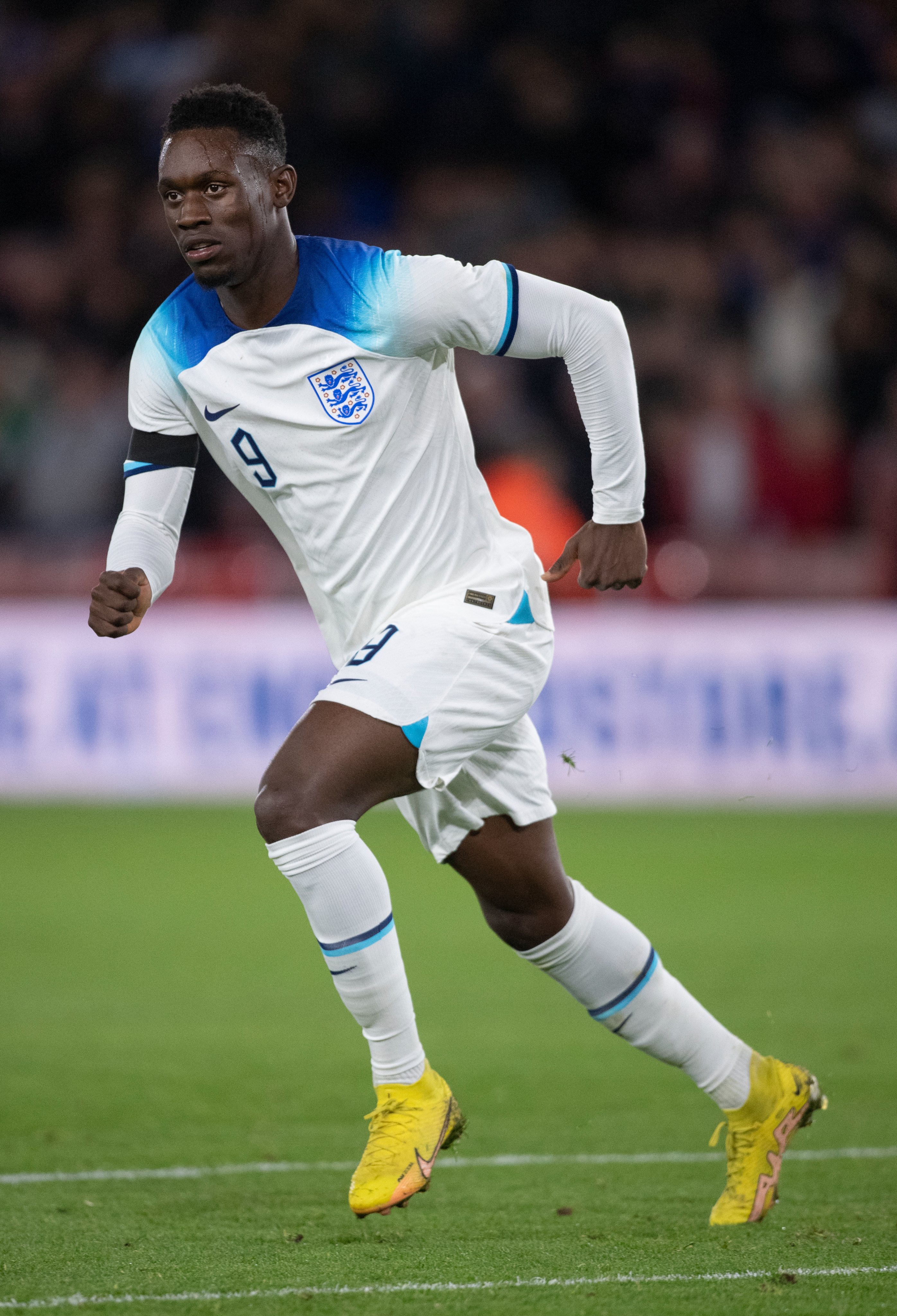 🇺🇸 ⚽ east (eastdeflection) / Twitter