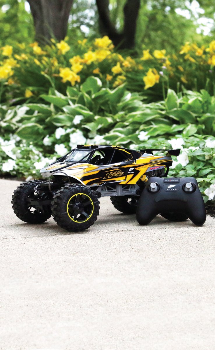 Happy Spring! It's time for some outdoor fun!🌷🐝 #newbrightrc #spring #funcof9 #forzahorizon #rc