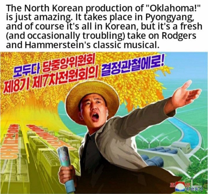 Phoenix Elgato AKA Phoenix The Cat (@phoenix_elgato) on Twitter photo 