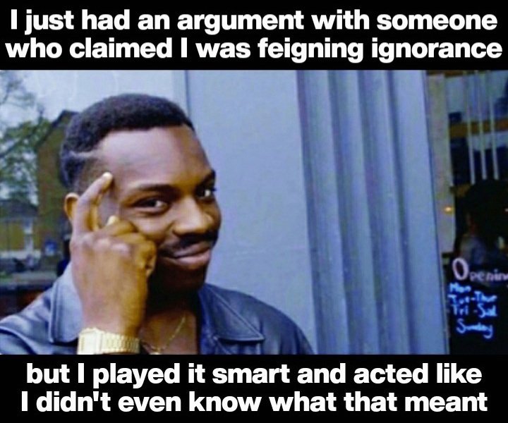 Phoenix Elgato AKA Phoenix The Cat (@phoenix_elgato) on Twitter photo 